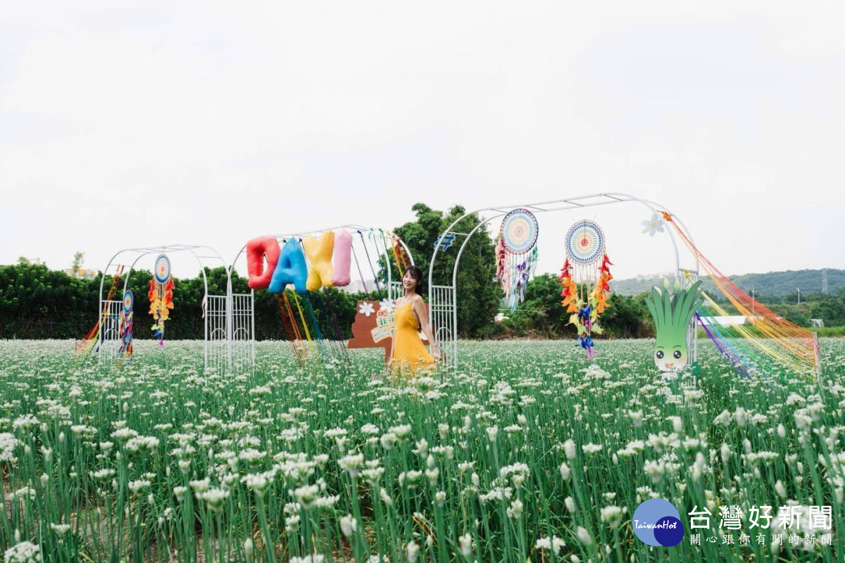 大溪中庄休閒農業區景觀，含韭菜花季花海盛開美景。