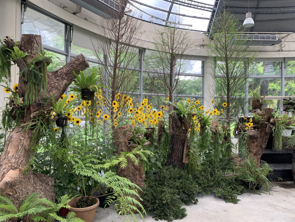 走進都市裡的雲霧森林！　青年公園「綠金國度」特展盛大開幕