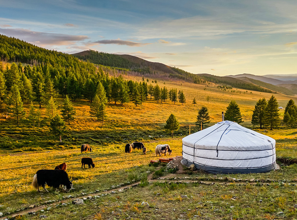 深具文化深度的蒙古國 6 日體驗，讓旅客在省下轉乘交通成本的同時，能將預算用於享受當地的騎馬與蒙古包住宿等特色活動。圖/華府旅遊提供