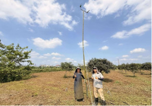 屏東推「生態薪水」守護草鴞　打造人與自然共存農地