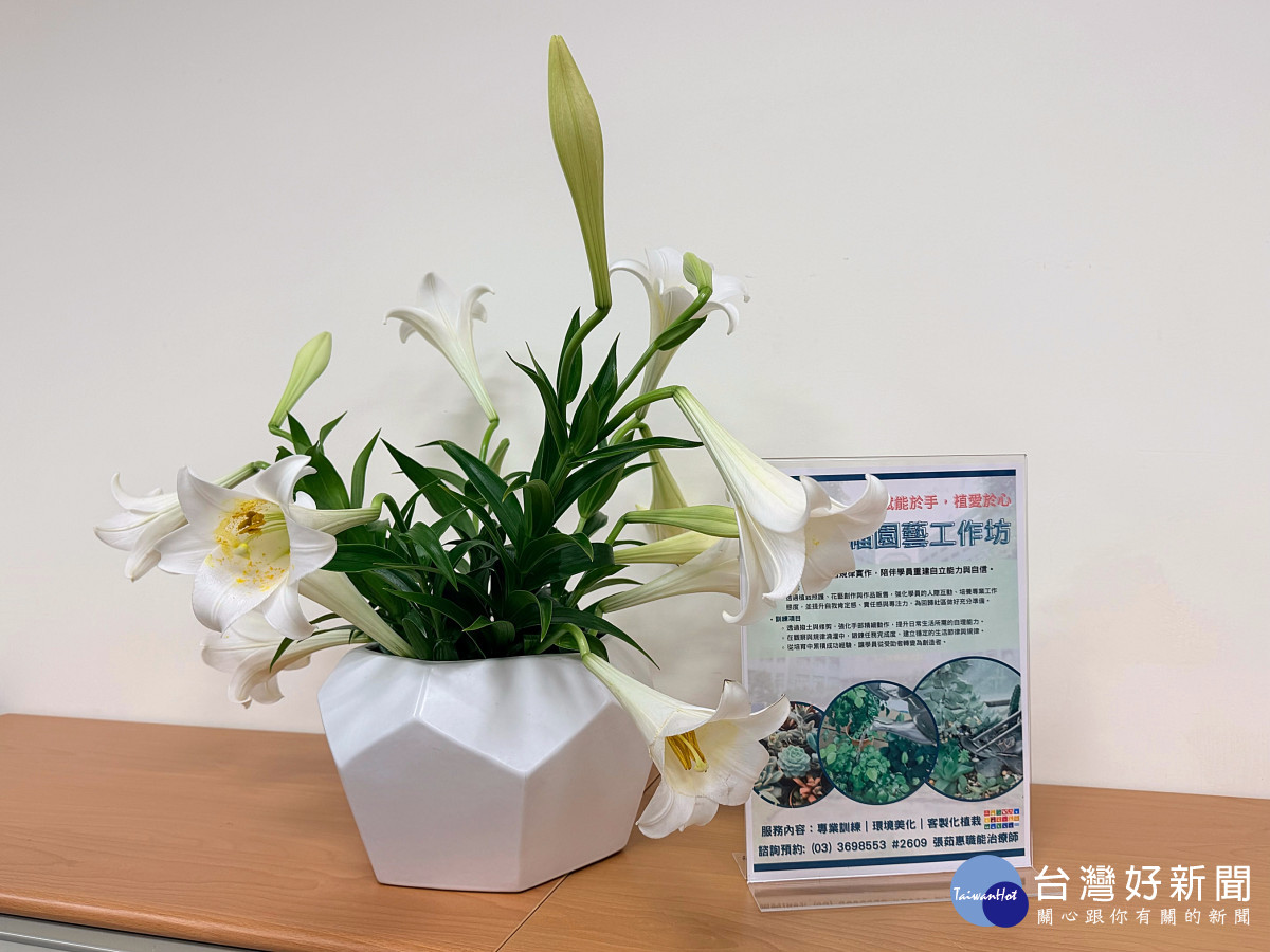 一盆花訴說她的復元蛻變歷程。 (桃療提供)