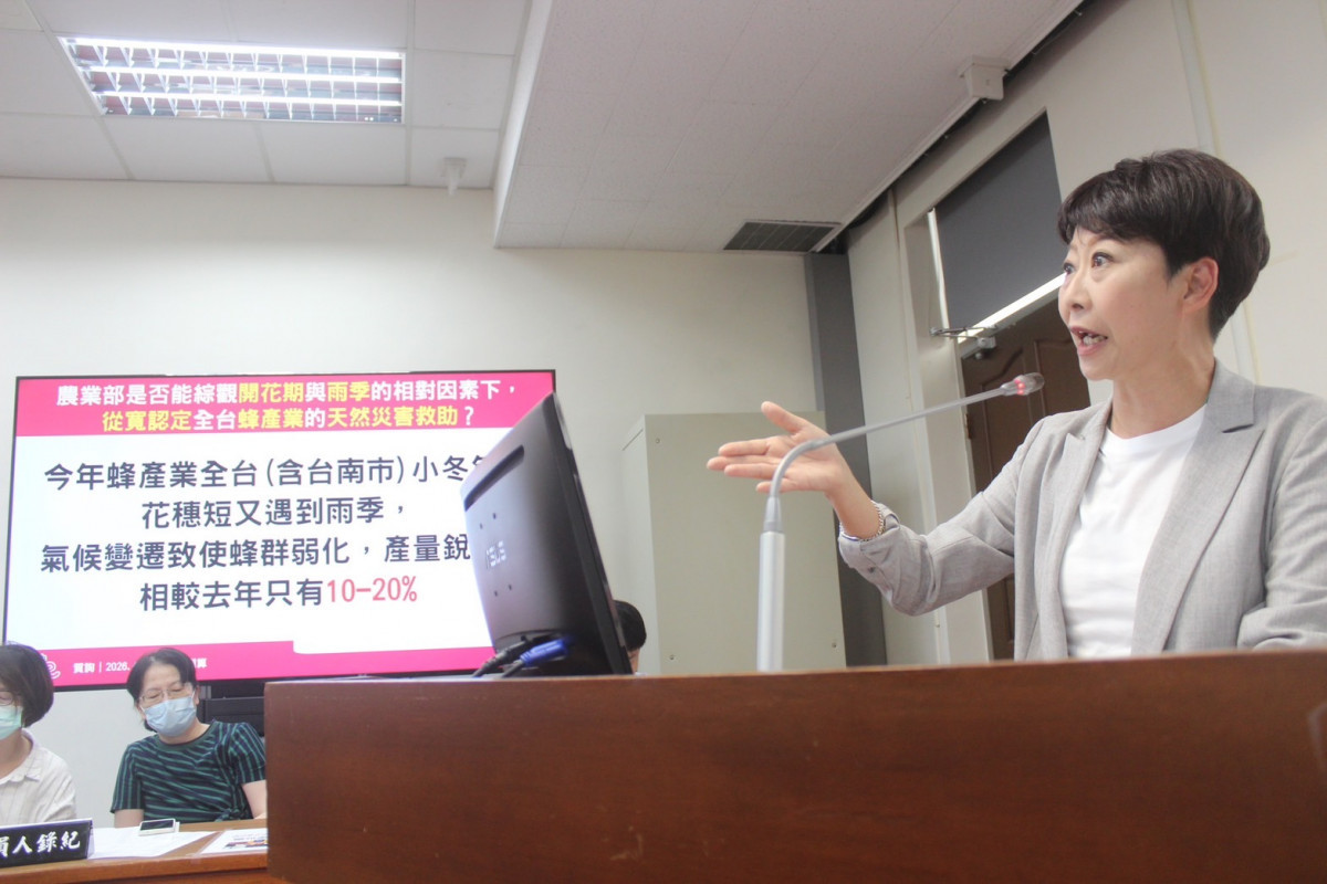 遇「小冬年」台南蜂產量剩不到兩成　陳亭妃要求農業部從寬認定專案救助