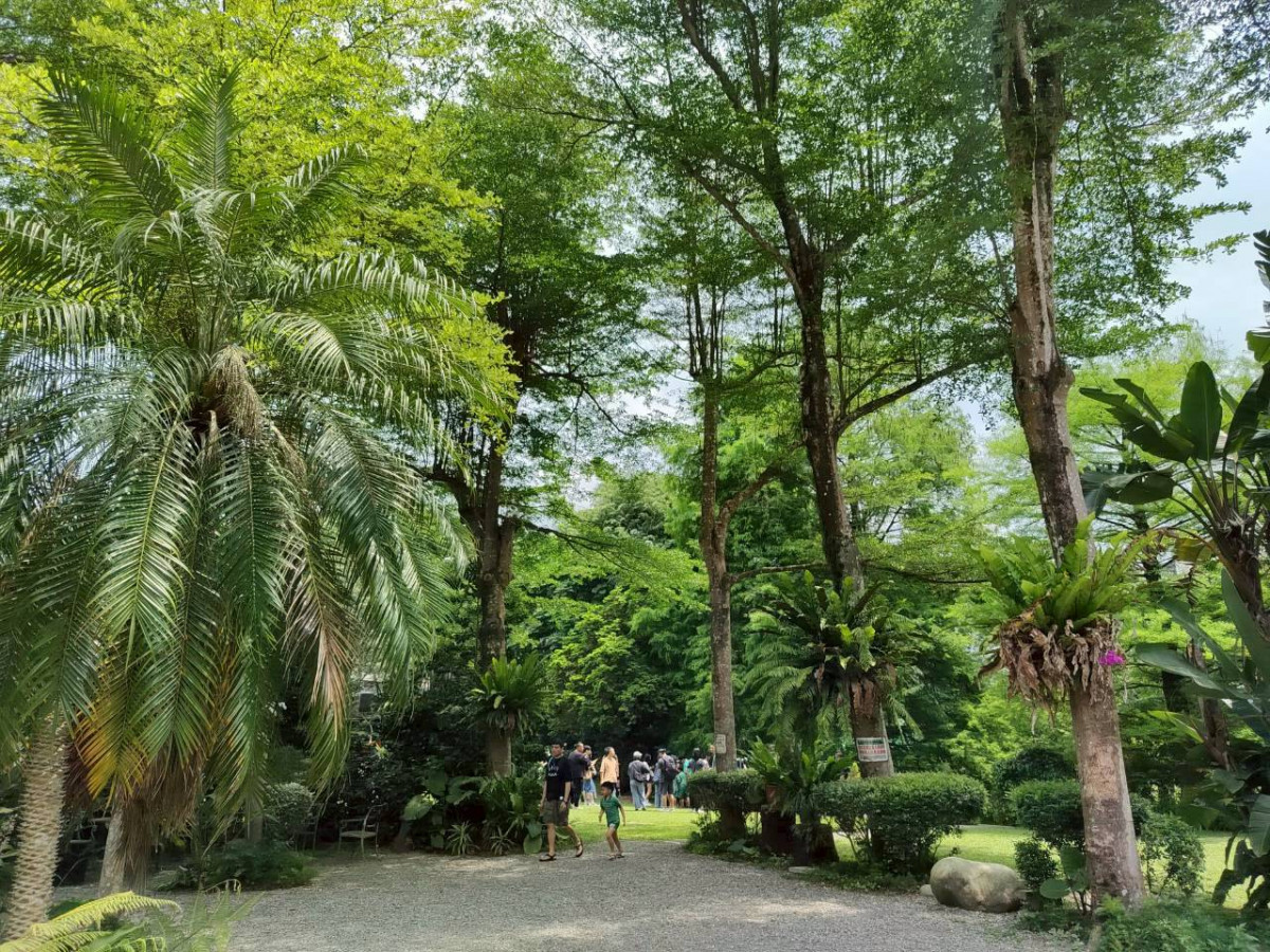 內湖「康樂綠地」2.0 華麗轉身！　全齡友善遊戲場完工開放