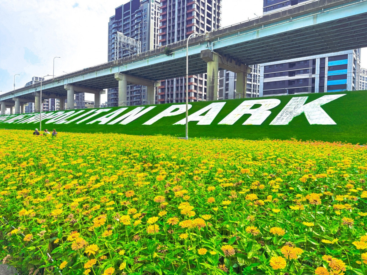 新北大都會公園花海綻放　大砲雲集搶拍金嗓小歌手