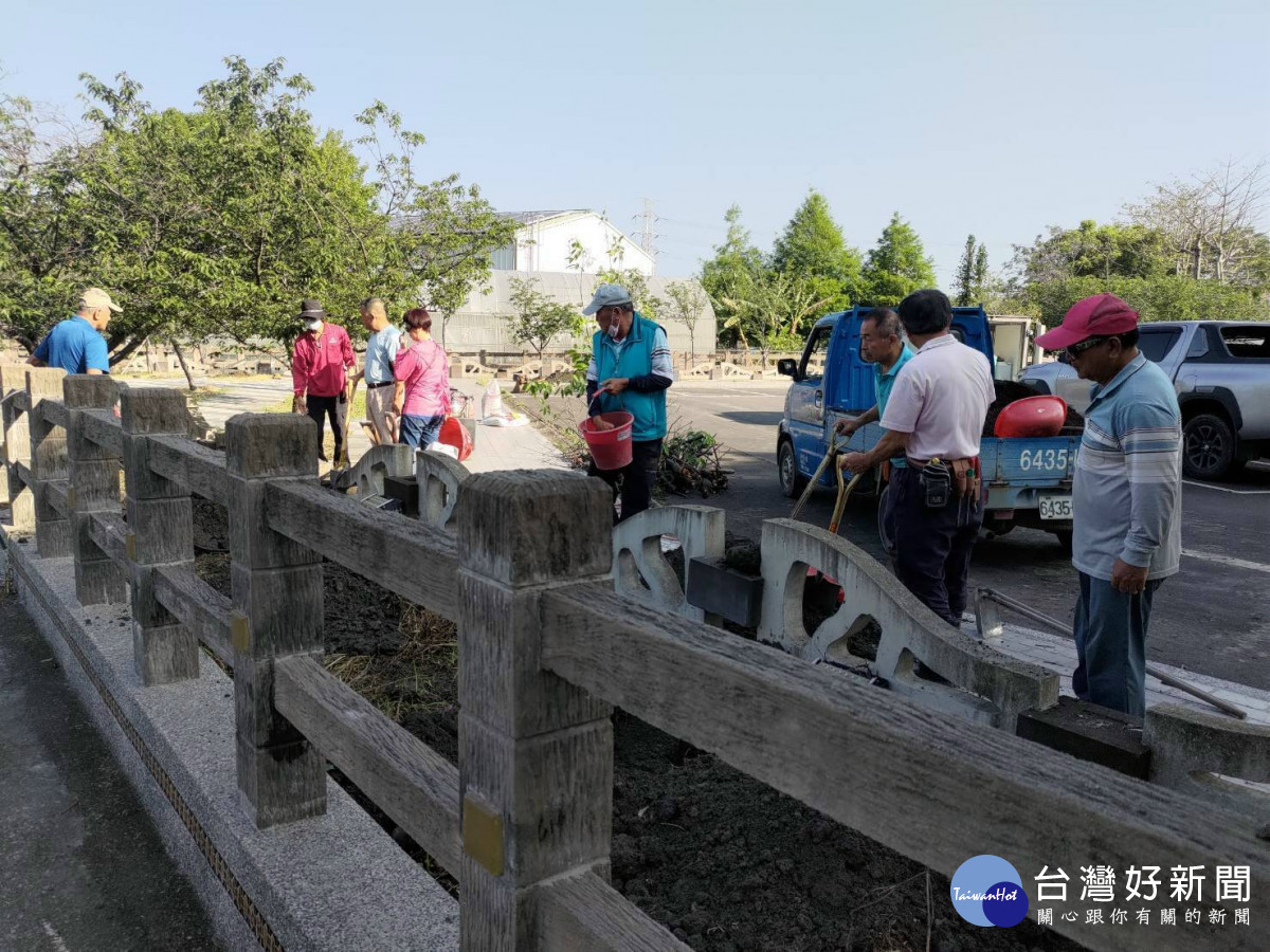 守護泰安櫻花林　地方齊心補植盼重現最美櫻花風華