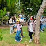 5月首週迎3日連假，嘉義市推出「Pikmin Bloom迷你散步」，帶動文化、觀光與互動體驗交織的城市探索熱潮，短短3日內迎來超過130萬人潮／嘉義市府提供