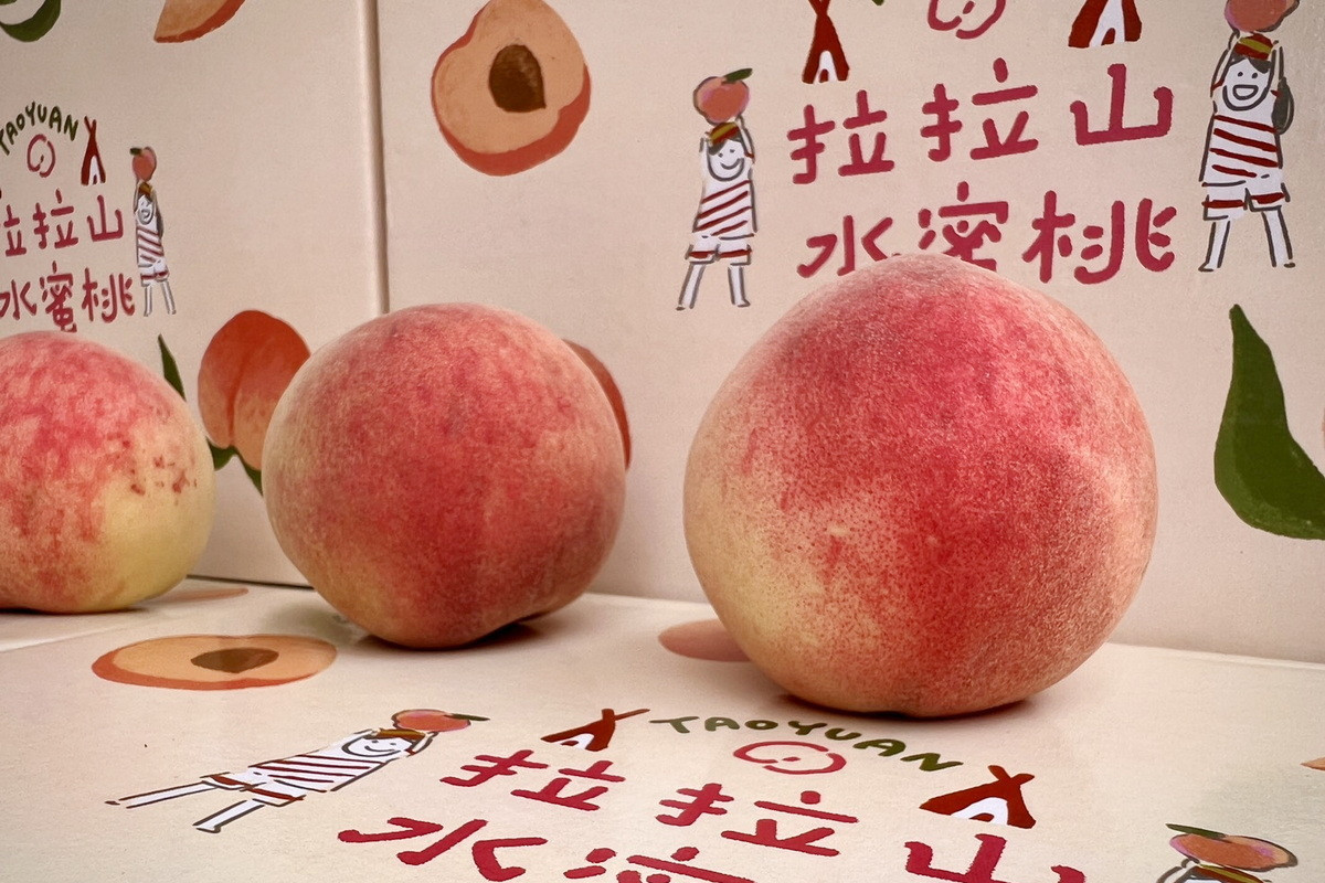 桃園媽媽桃產季啟動　「媽媽樂桃桃-粉紅市集」母親節甜蜜上市