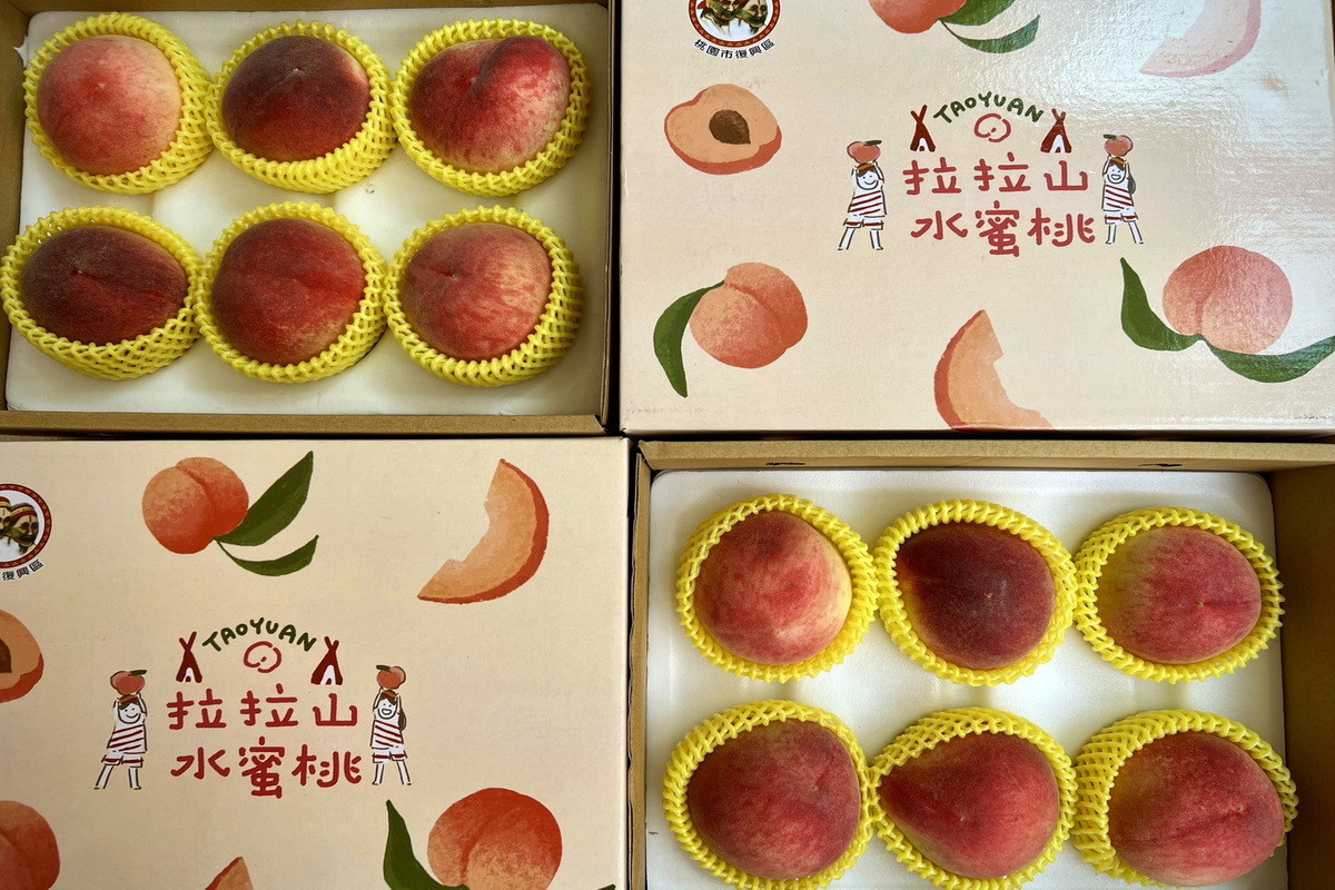桃園媽媽桃產季啟動，「媽媽樂桃桃-粉紅市集」母親節甜蜜上市。