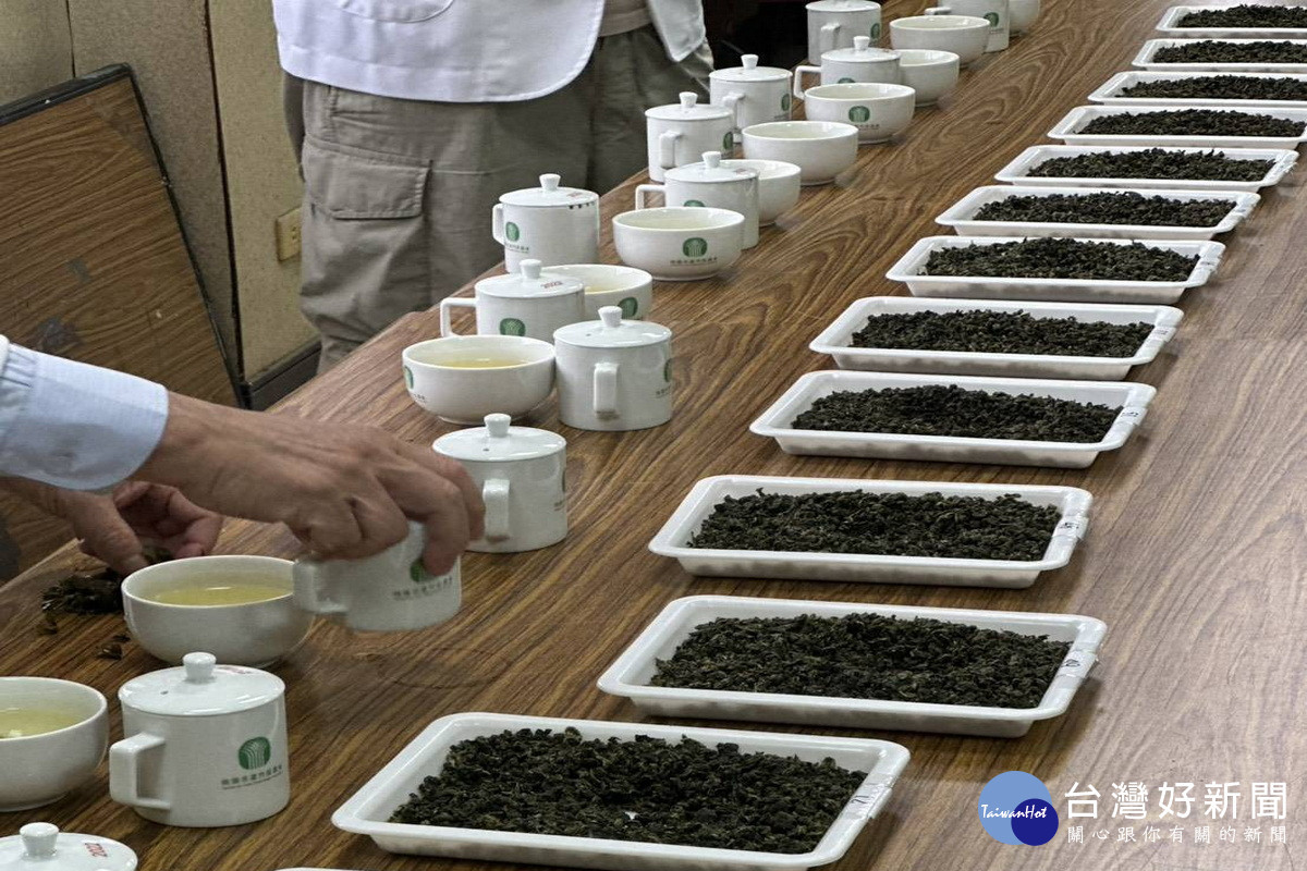 115年桃園蘆峰烏龍茶春季優良包種茶評鑑競賽，專業評審依外觀、水色、香氣及滋味等項目進行綜合評比。
