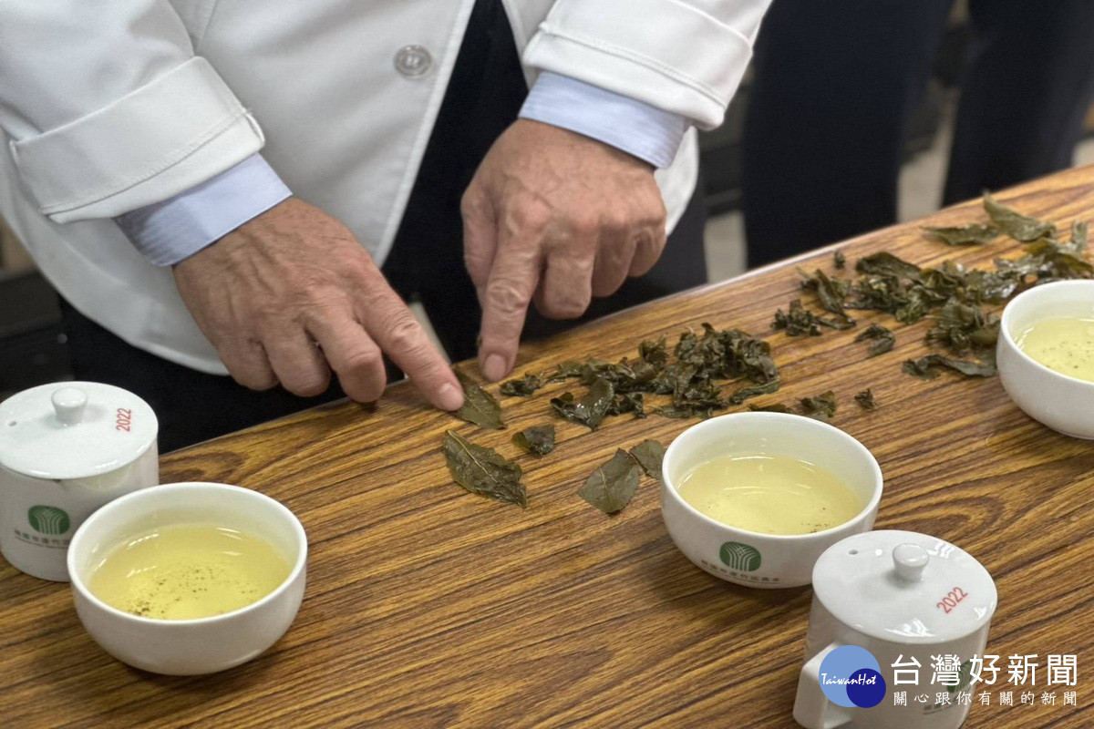 115年桃園蘆峰烏龍茶春季優良包種茶評鑑競賽，專業評審依外觀、水色、香氣及滋味等項目進行綜合評比。