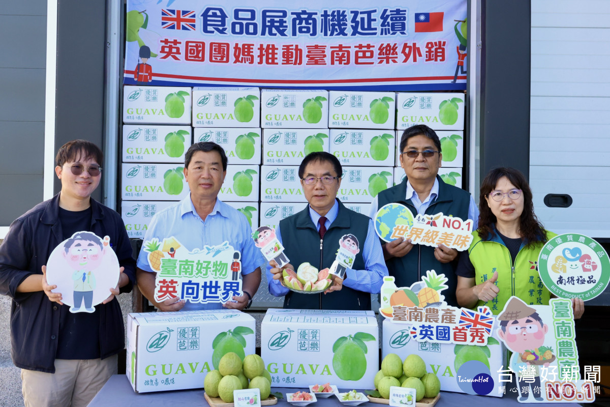 首批台南芭樂空運英國　每顆售價約新台幣295元
