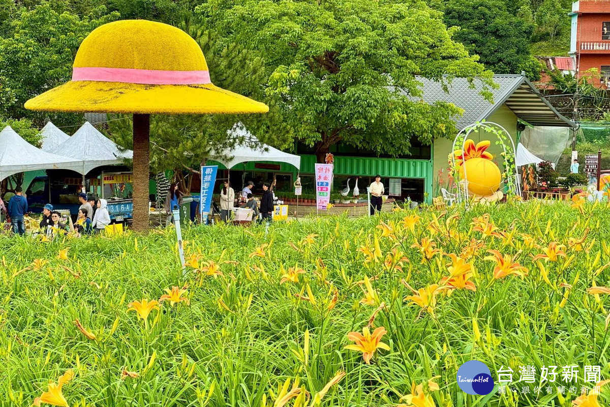 「2026花現台七-繡球金針農遊趣」於桃園市大溪區百吉休閒農業區遊客中心正式揭幕。