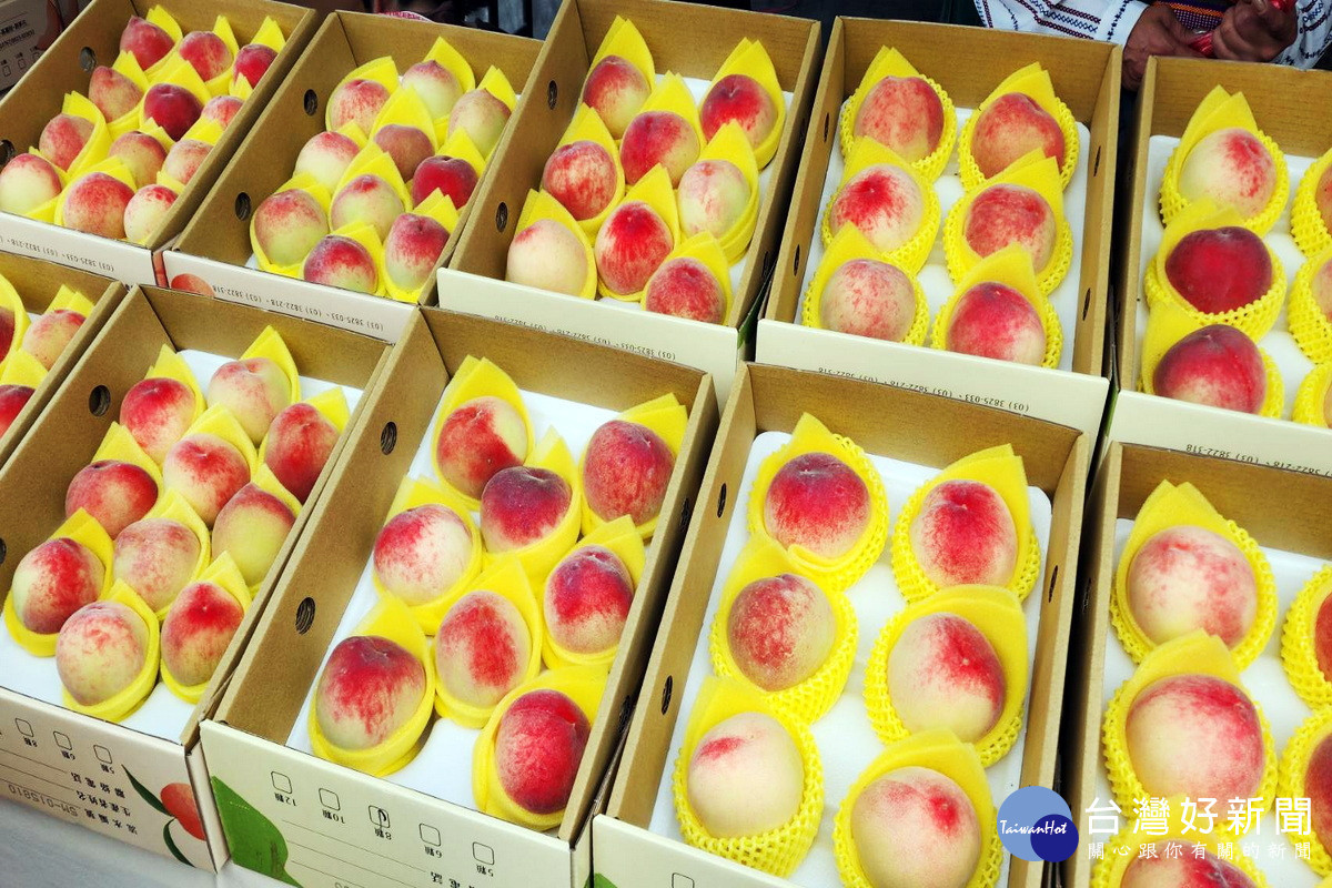 母親節送禮首選桃園「媽媽桃」。