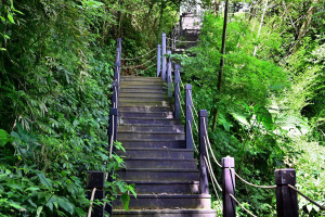 雙崎部落「埋伏坪登山步道」