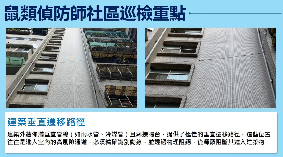 （圖／台北市府環保局水質病媒管制科）