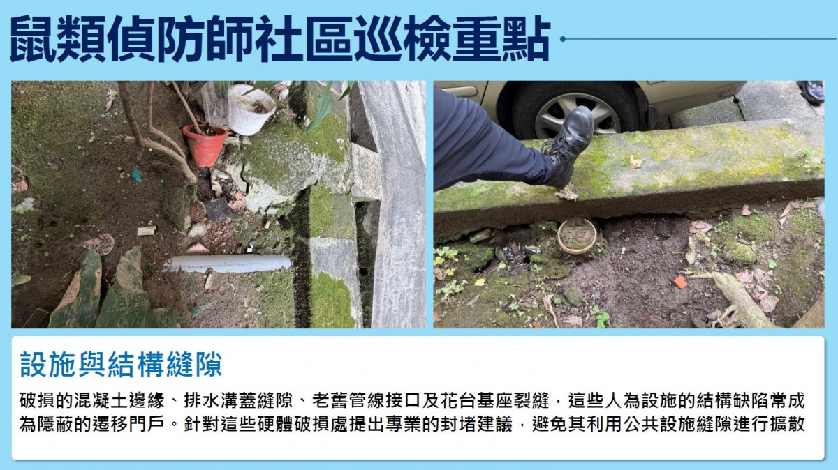 （圖／台北市府環保局水質病媒管制科）