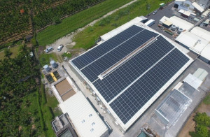 新晶投控綠電實質收入呈現穩步向上趨勢，營收來源已轉向以綠電售電與自有電廠為主軸，挹注常態性的穩定收益。（圖／新晶投控提供）