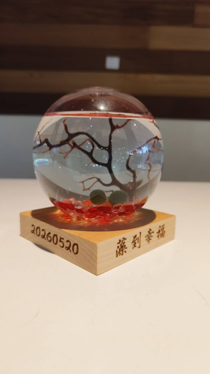 (圖/宜蘭縣府民政處)