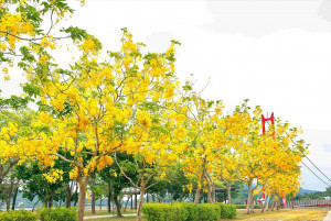 （圖／高雄市政府工務局公園處）