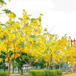 （圖／高雄市政府工務局公園處）