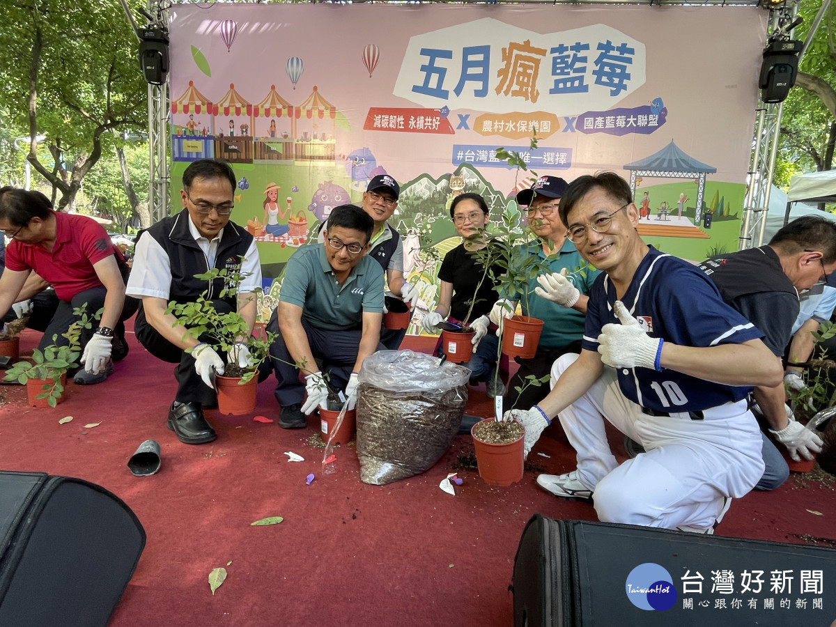 五月瘋藍莓台中草悟道登場，現場也有贈苗活動。
