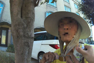 警方將老婦帶往路旁安全處休息，避免發生交通事故。