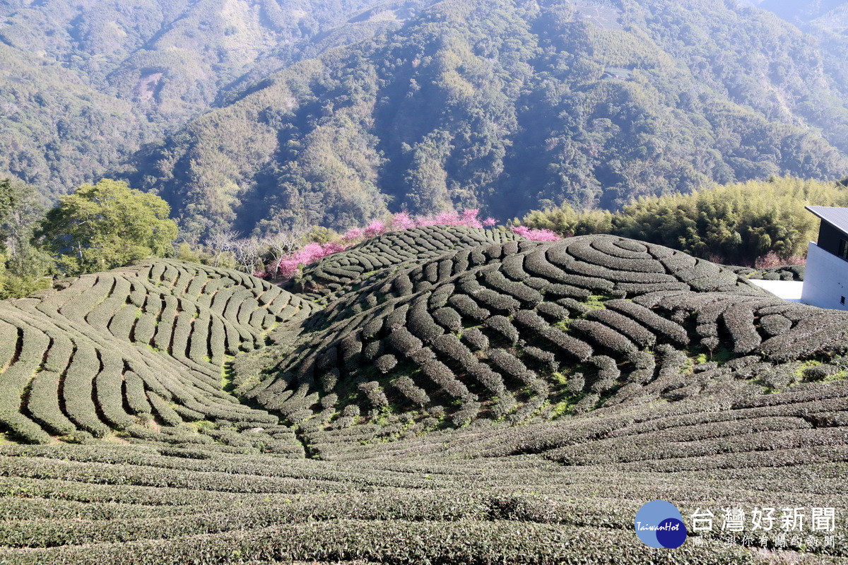 太極美地低碳旅遊規劃景區風景優美。(記者扶小萍攝)<br />
<br />
<br />