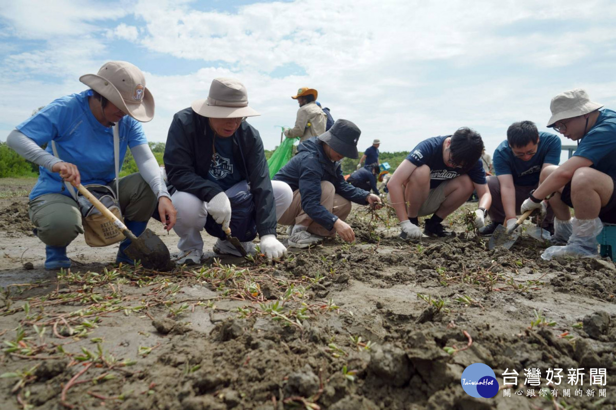 守護珍貴生態　竹市府攜手企業投入濕地復育