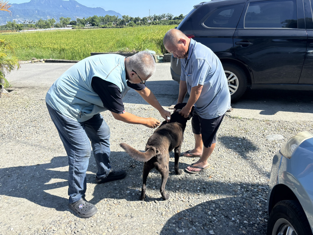 5月驚現3例狂犬病鼬獾！　臺東縣府加強全面防疫措施
