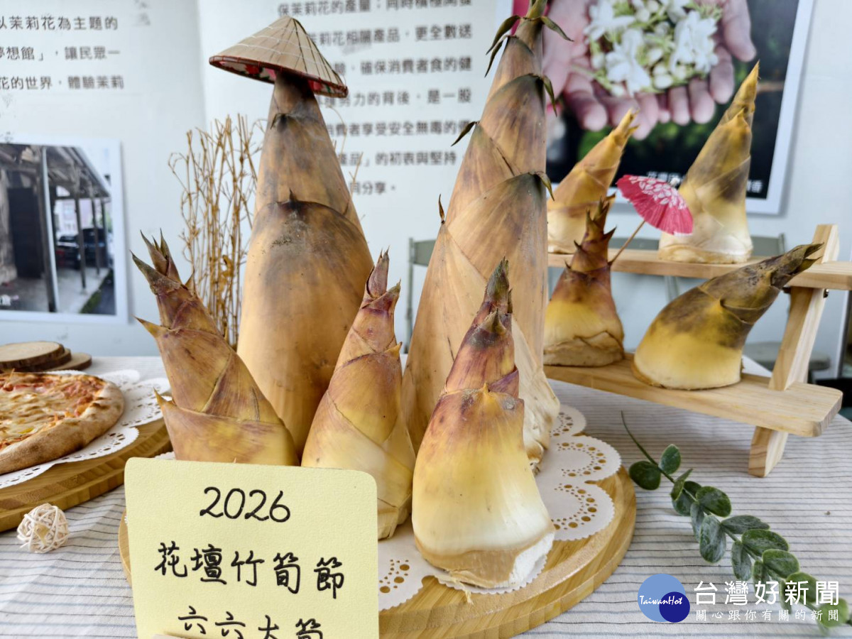 2026世界茉莉盛典登場,一票暢玩13關窨香冒險體驗花壇魅力。圖/記者鄧富珍攝