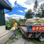 照顧農民再加碼　花蓮縣府調升農業資材補助至每公頃2500元