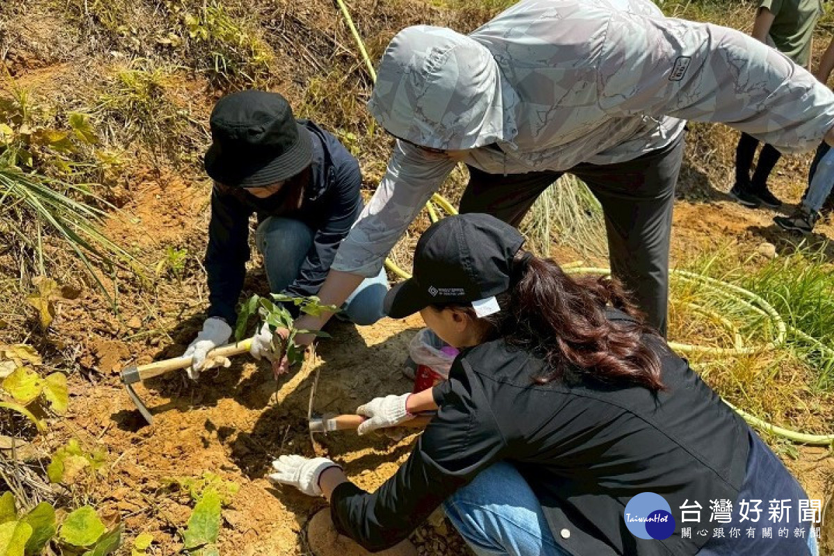 皇昌員工親手栽植樹苗，體驗山林復育過程，落實企業參與環境永續。