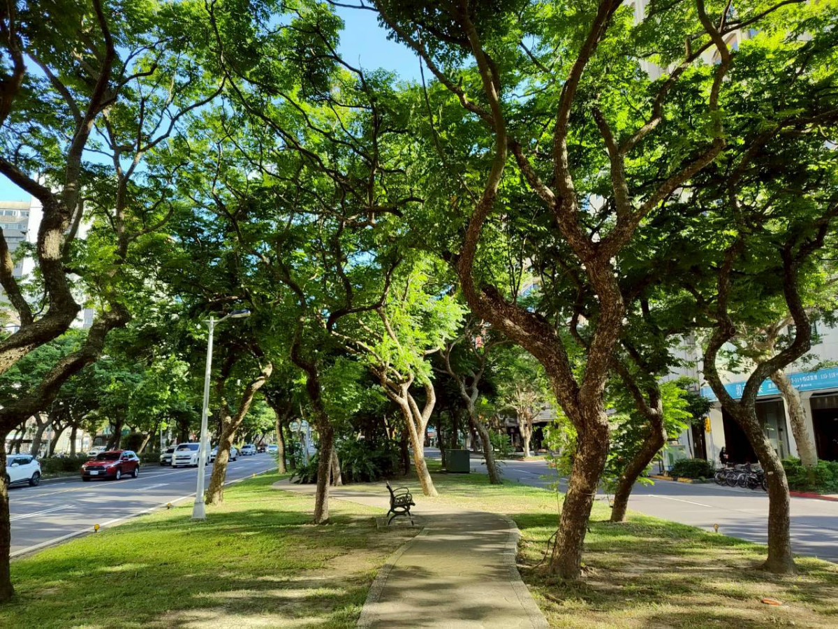 臺北城市最美的長鏡頭！　重溫敦化南路林蔭大道半世紀「電影美學」