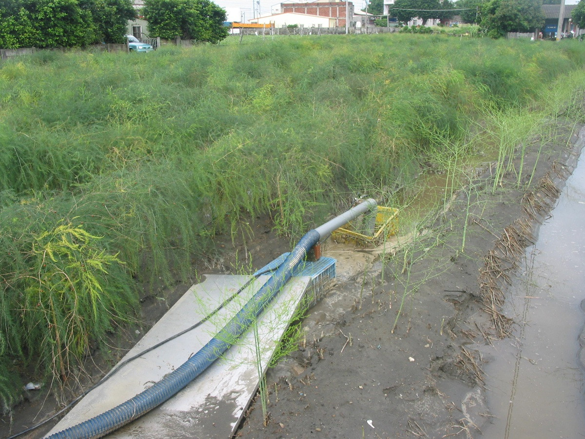 豪雨來襲 臺中農改場籲請農友提前做好防雨與排水措施