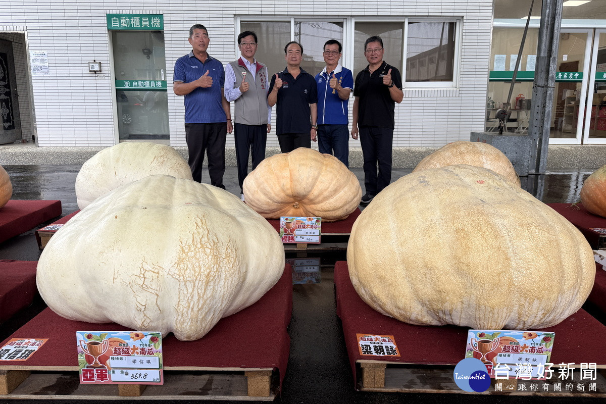 觀音大南瓜444台斤奪魁　冠軍梁朝詠6/13出征全國賽