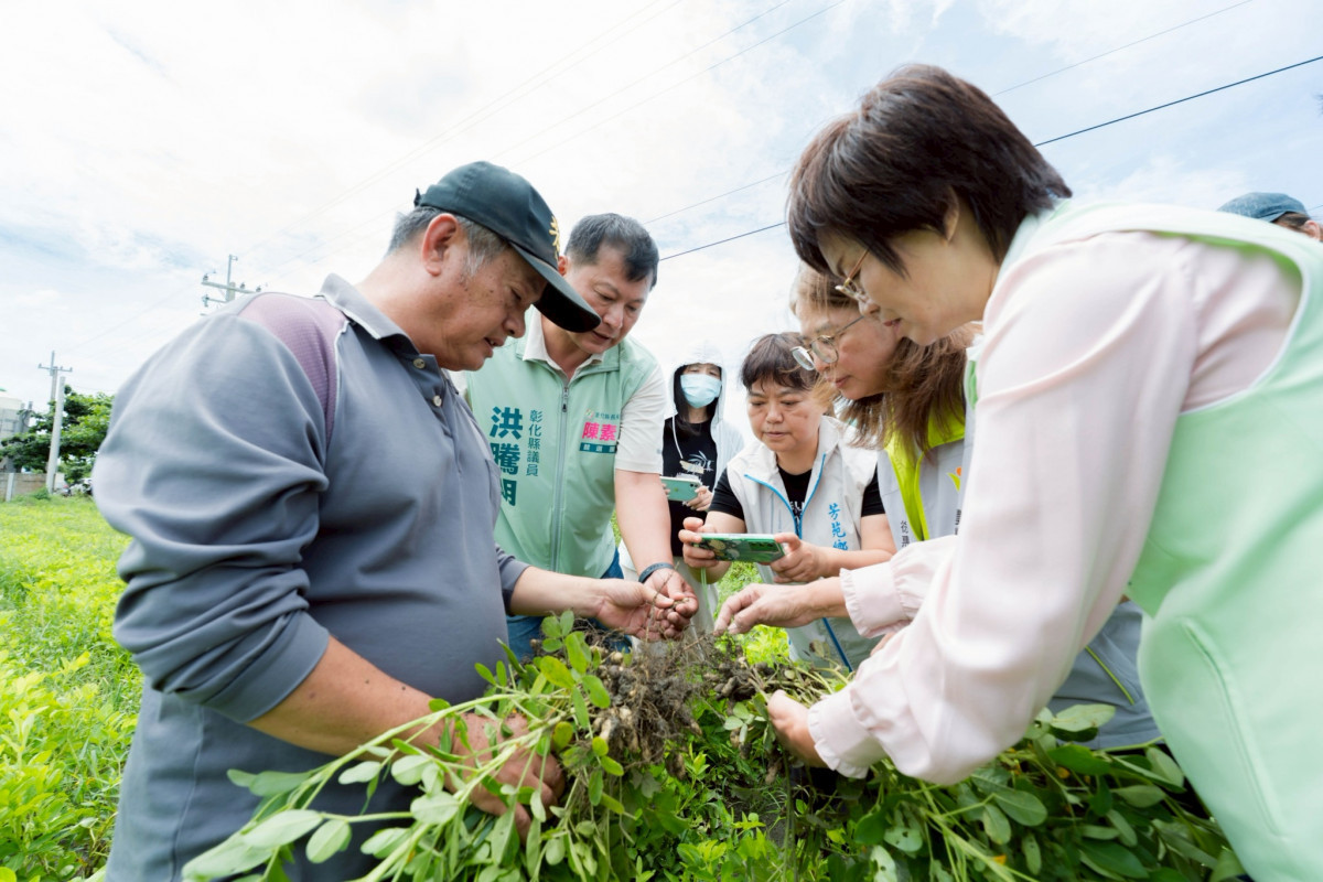 陳素月偕農糧署勘災　認定彰化花生損害達救助標準