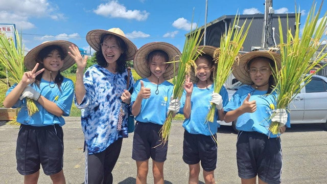 大里農會舉辦「作伙割稻趣」　內新國小下田感受豐收氛圍