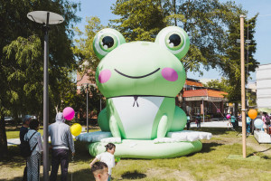 以「諸羅樹蛙」為主題的大林鎮運動公園兒童遊戲場19日正式啟用／嘉義縣府提供