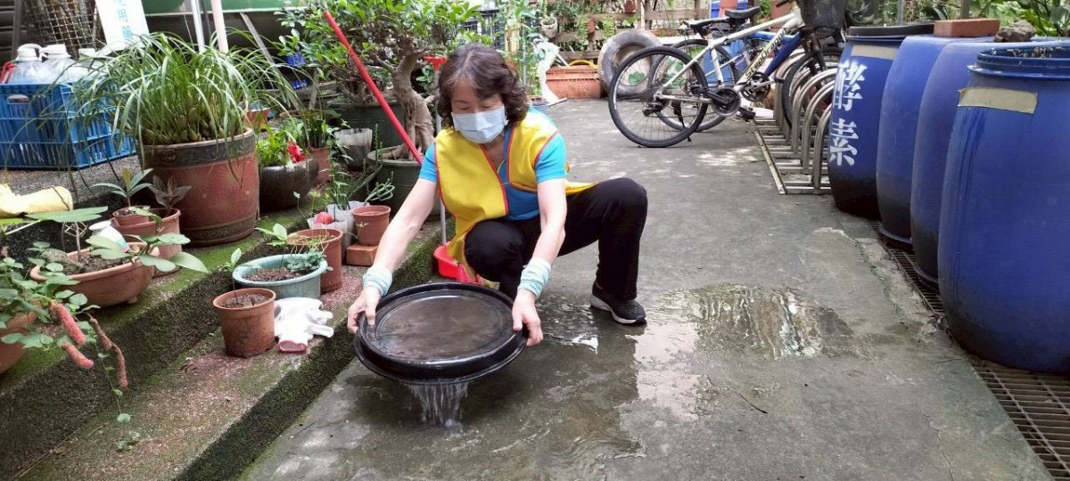 大雨後防登革熱與鼠患　桃市環保局籲民眾落實「巡倒清刷」與「防鼠三不」