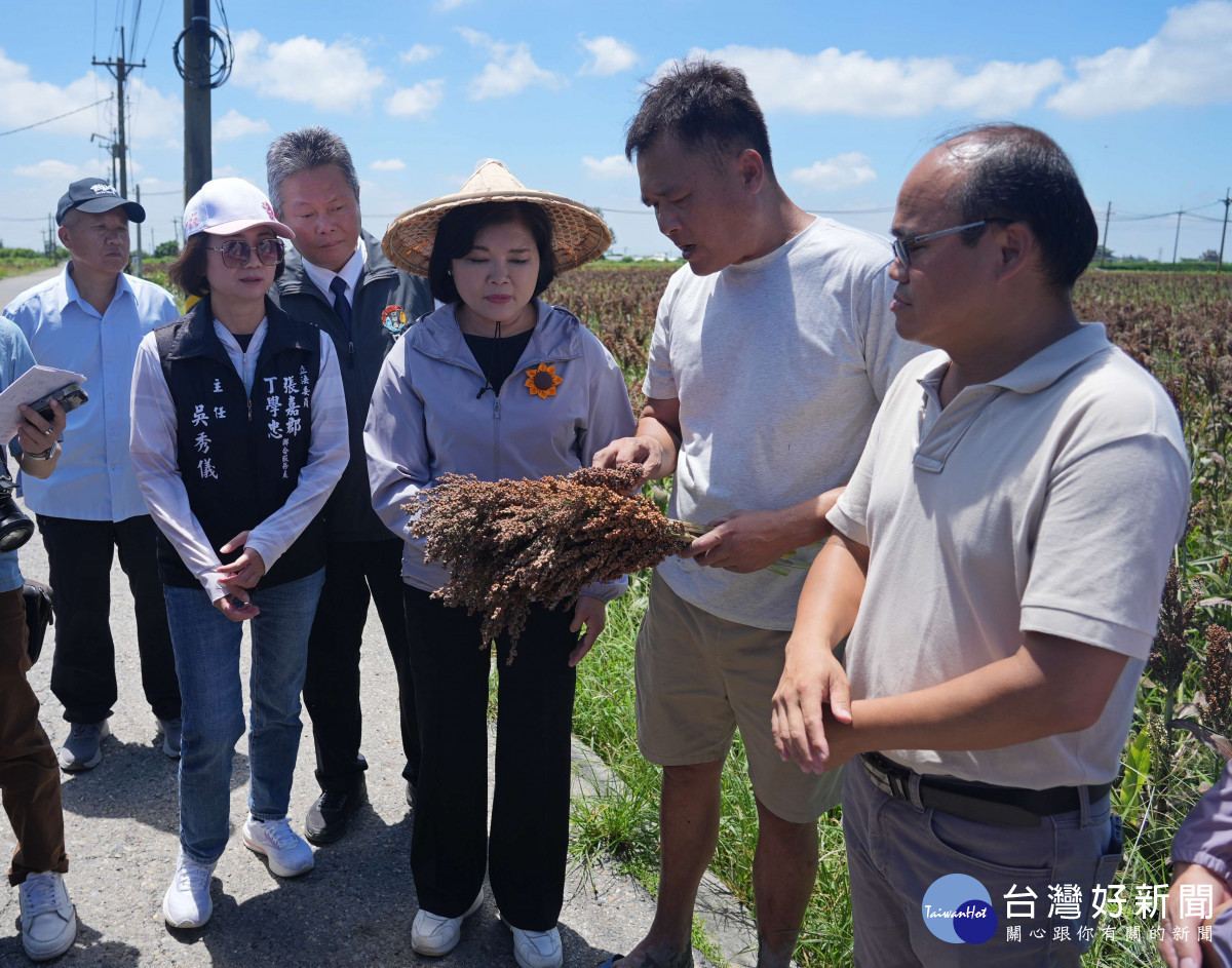 連續豪雨過後又接連出現高溫天氣,雲林縣多項農漁產品傳出嚴重災情/縣府提供