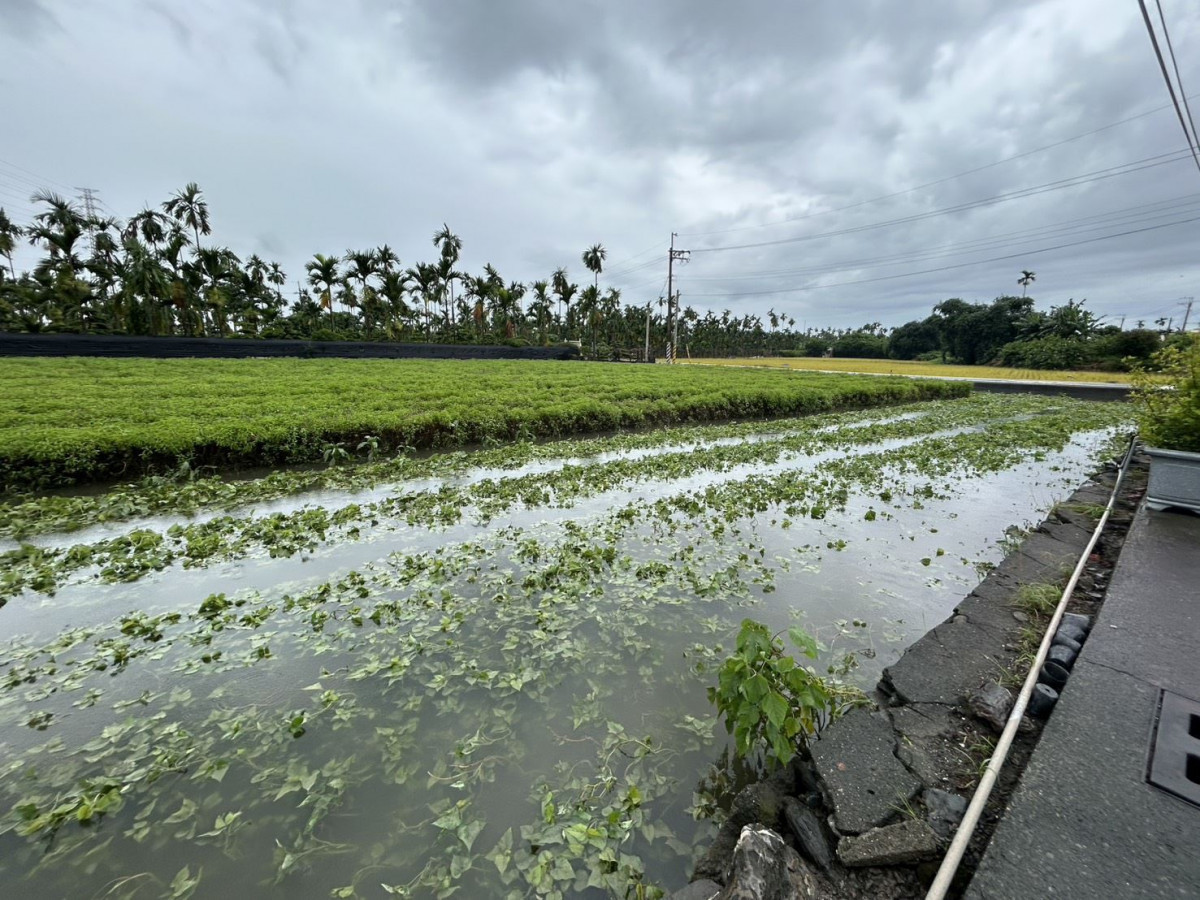 6月豪雨連連造成屏東農損　縣府爭取農業部天然災害救助全品項免勘