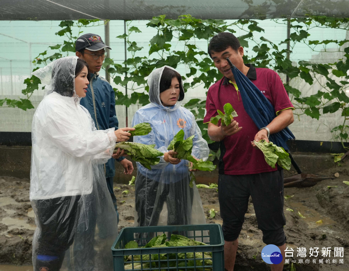 暴雨狂炸雲林！西螺、二崙葉菜慘泡水　災損逾7成恐衝擊菜價