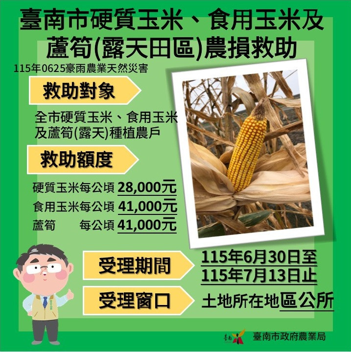 因應0625豪雨災情 　農業部公告南市硬質玉米、食用玉米及蘆筍為農災現金救助地區