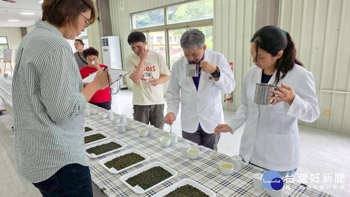 評審團針對外觀、水色與香氣滋味等三種項目進行評鑑。