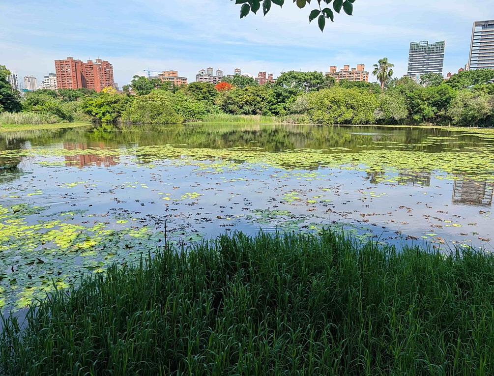 (圖/高雄市府工務局公園處)