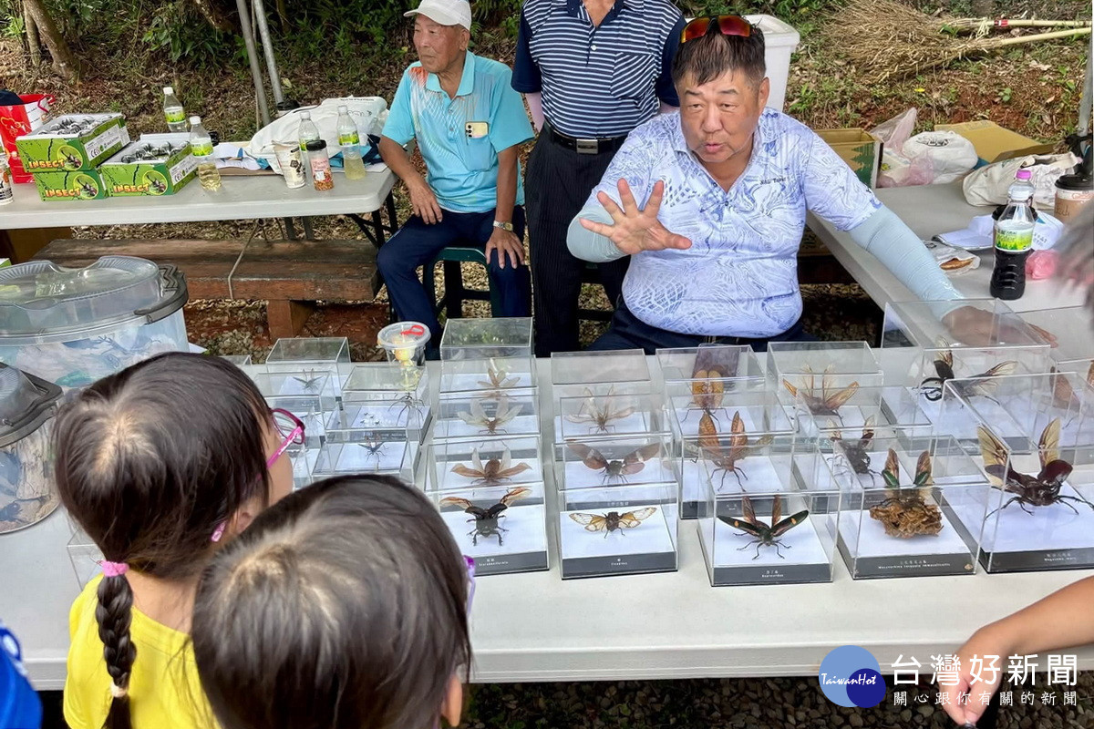 「2026台灣百大行腳趣-羊稠步道甲蟲季」現場有多種昆蟲標本吸引小朋友駐足。