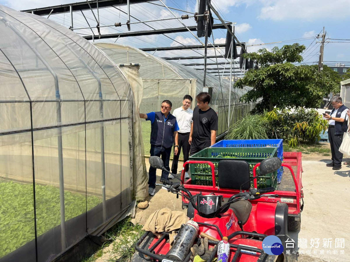 桃園市政府農業局全面啟動農業防颱應變機制,前往轄內稻田、農園、設施蔬菜園、桃園果菜市場及相關農業場域視察防颱措施與民生蔬菜供應情形。