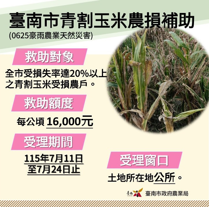 台南青割玉米災損　7/11起現金救助申請