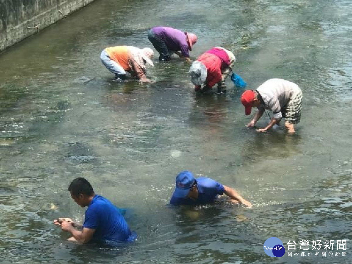 外埔區大甲溪畔生態空間景色優美　成民眾休閒熱門去處