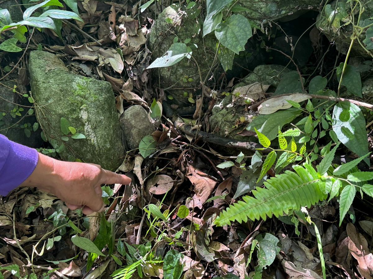 現場清除獵具。（圖/南投分署提供）